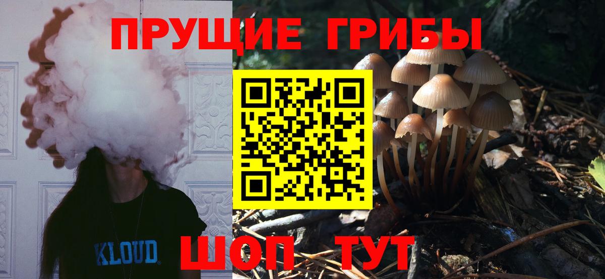Галлюциногенные грибы Magic Shrooms Обнинск