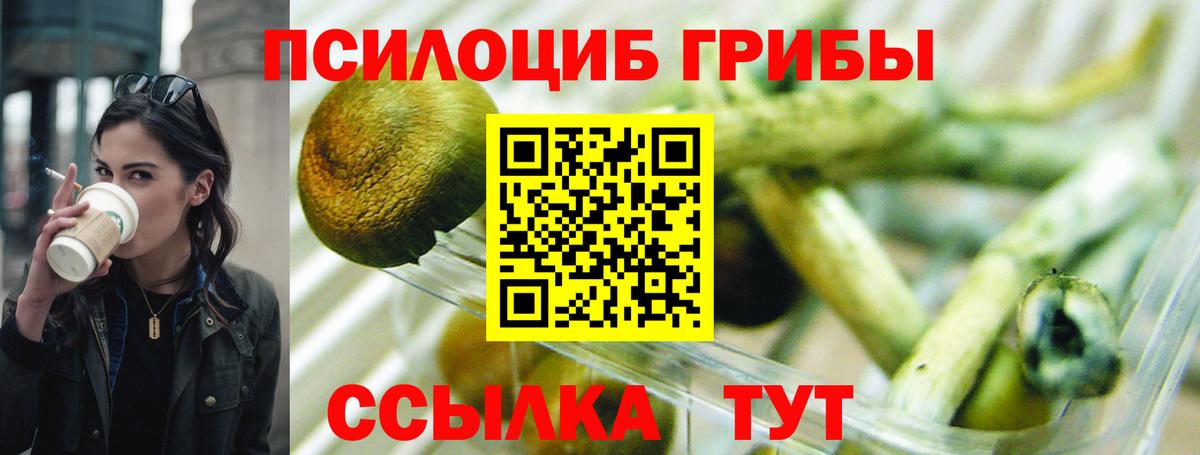 Обнинск  Галлюциногенные грибы ЛСД  Вход с VPN  Галлюциногенные грибы Psilocybine cubensis 